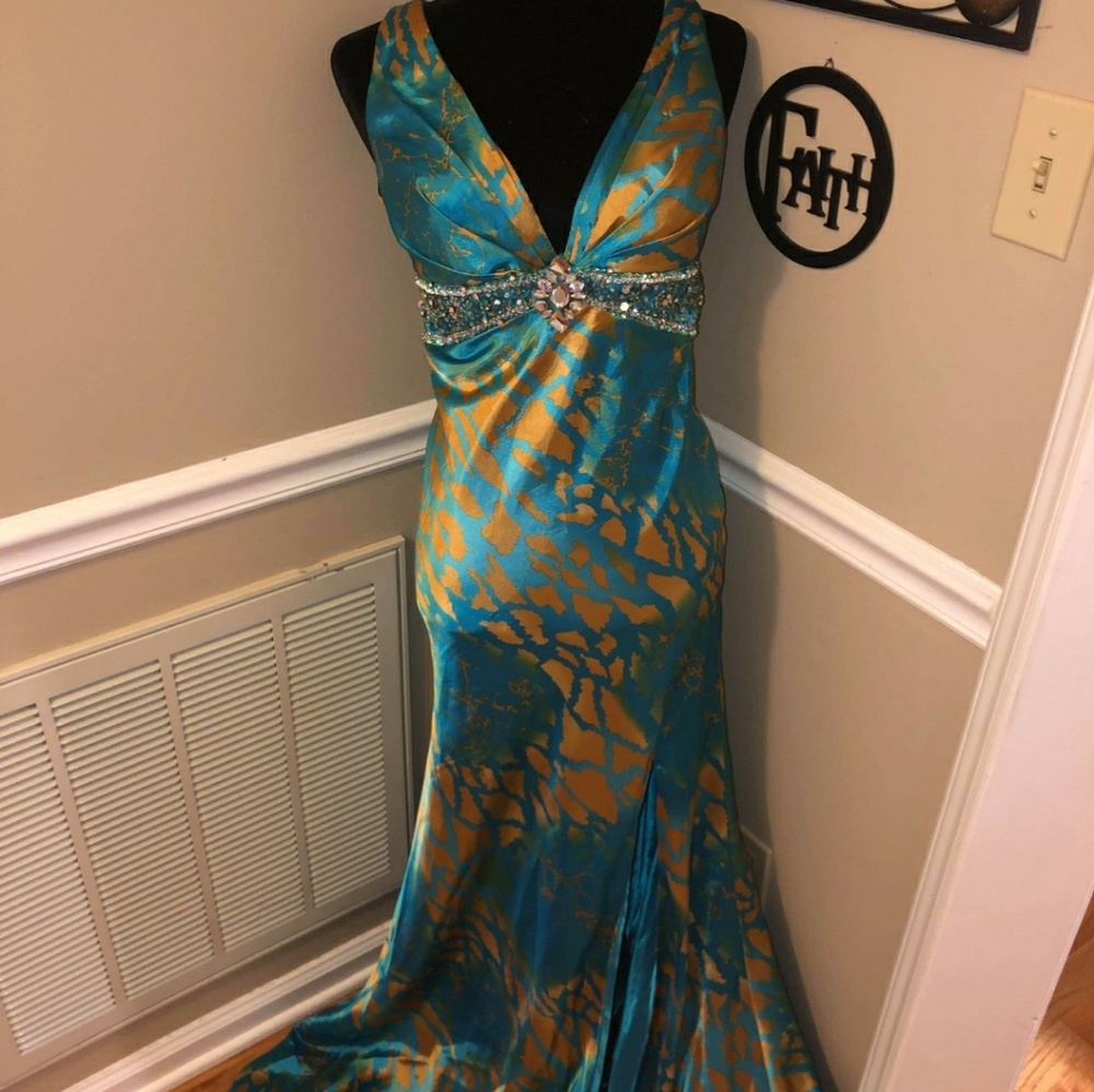 Evening Gown / Prom Dress